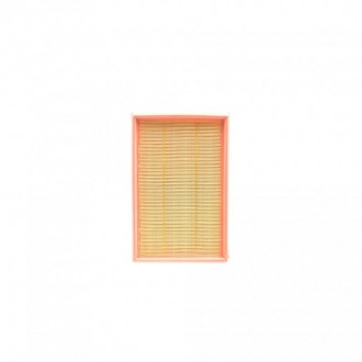 Воздушный фильтр FILTRON